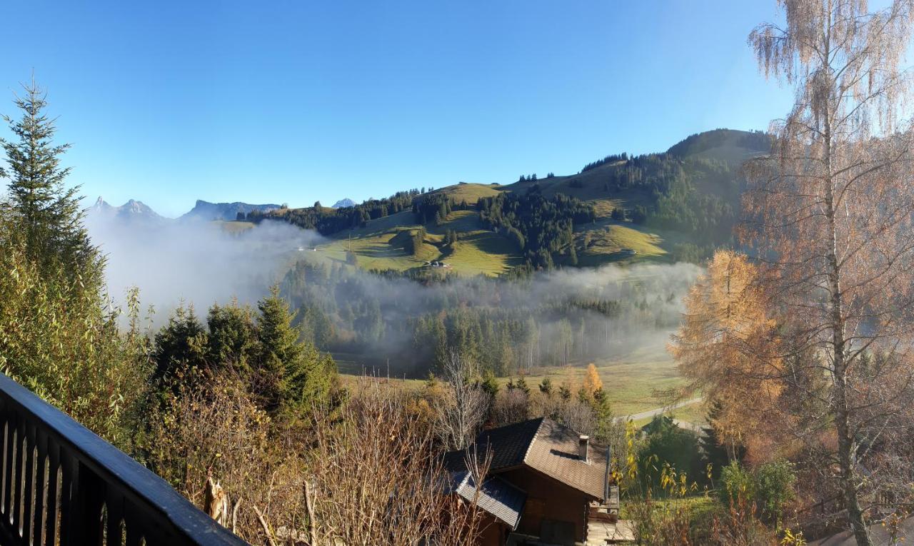 Charming Chalet With Panoramic View And Private Parking In Gruyere グリュイエール エクステリア 写真